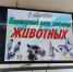 Познавательный час «Ребятам о зверятах» (6+) - ЦБС Осинниковского городского округа